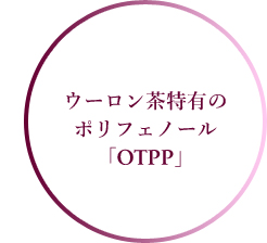 ウーロン茶特有のポリフェノール「OTPP」