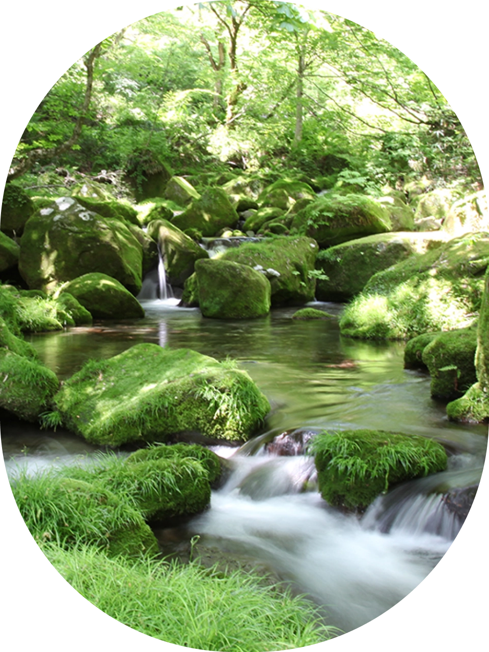 水科学研究所メインビジュアル