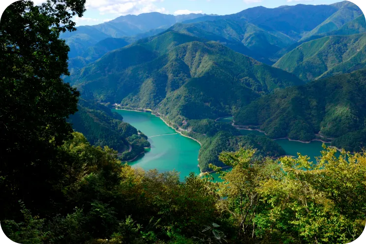 持続可能性を、自然を探る科学研究が高める — サステナビリティ