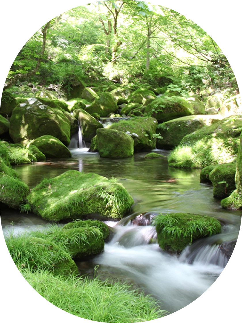 水と生命を守り続けていくために