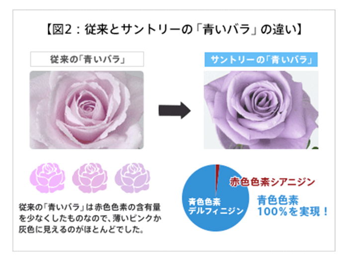 図2：従来とサントリーの「青いバラ」の違い