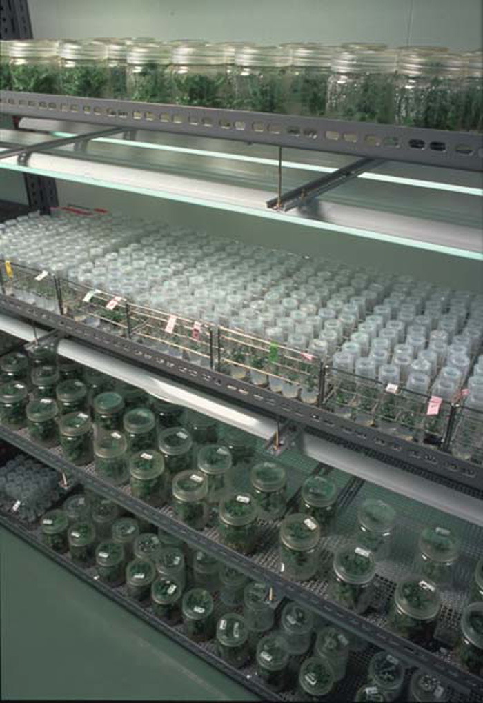 地道なトライアル＆エラーの繰り返し