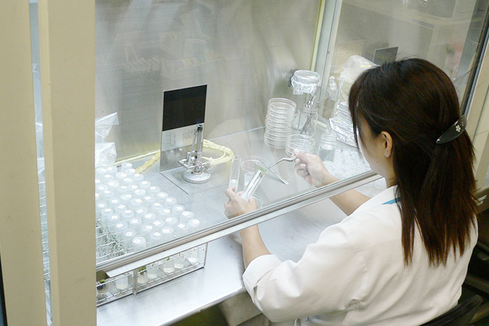 几帳面さと忍耐が知かせない組織培養