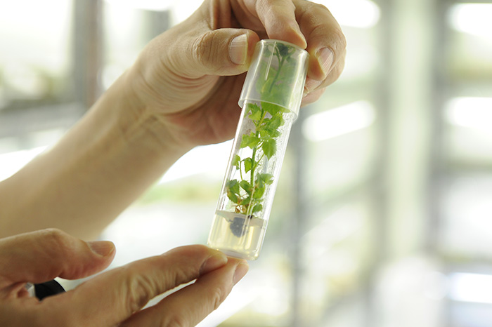 結果が出なくても続けさせてくれた会社に感謝