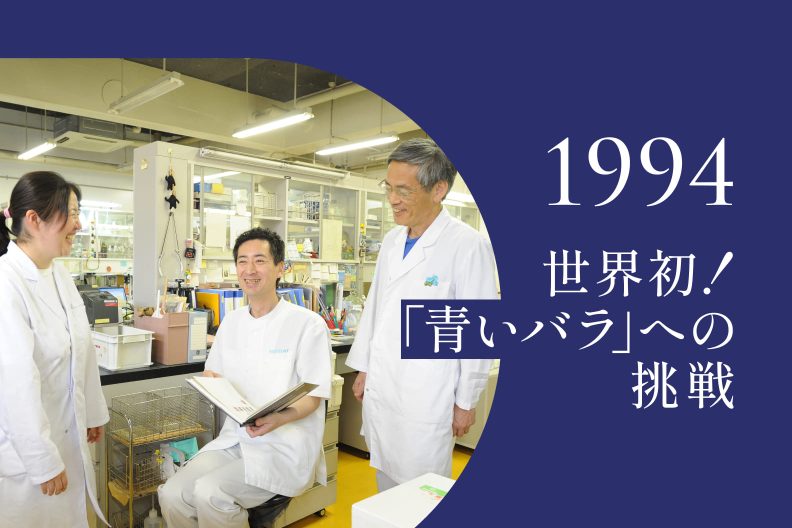 1994年｜ペチュニアの青色遺伝子を入れたバラが開花、しかし…青くない