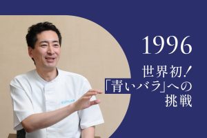 1996年｜ようやくバラでも青色色素が蓄積。花の色が変化