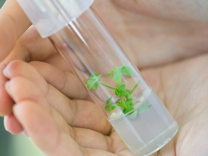 お客様との接点を望んでいる研究者