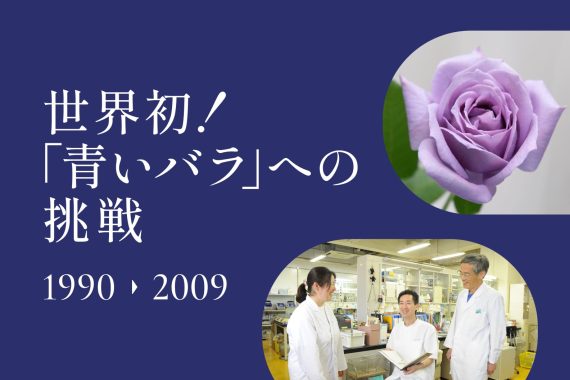 世界初！「青いバラ」への挑戦