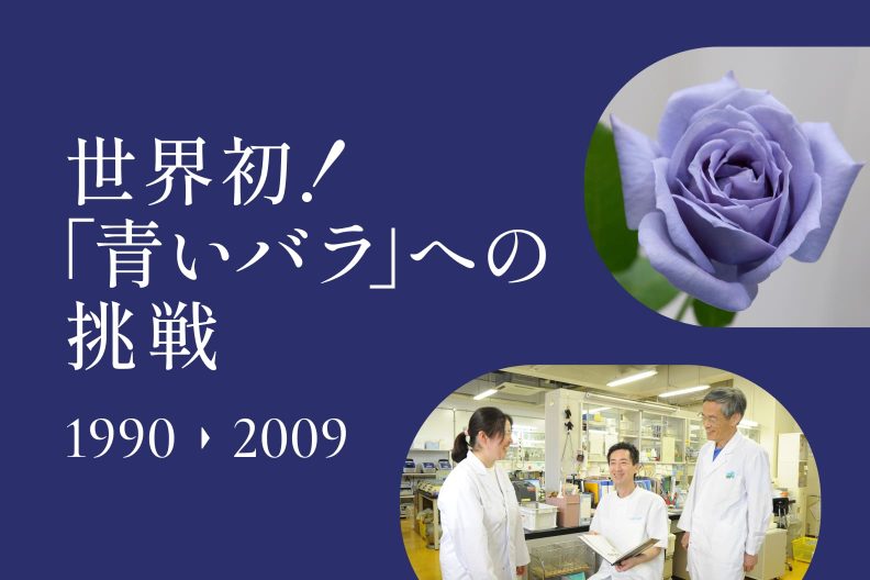 世界初！「青いバラ」への挑戦