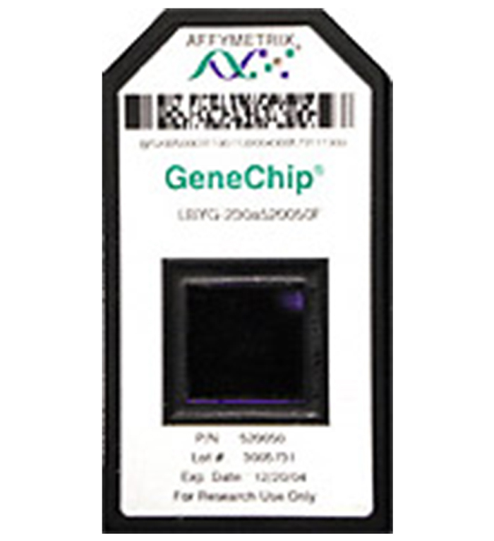 DNAマクロアレイ