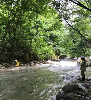 現地観測の様子