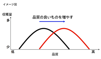 遺伝情報をホップ品質向上へつなげる