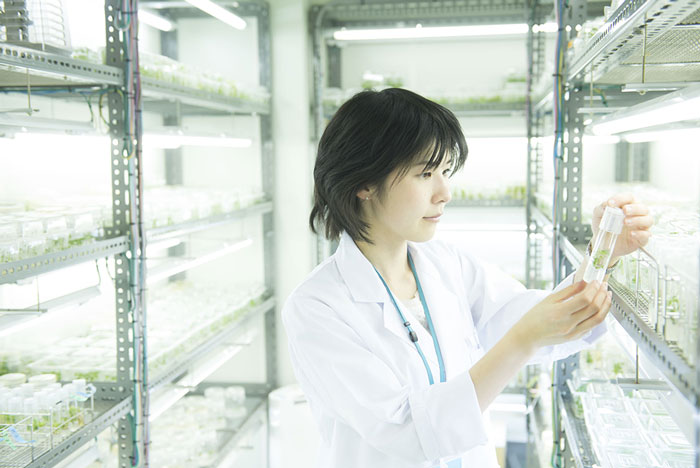 現在、担当している仕事は何ですか？