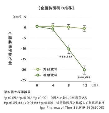 全脂肪面積の推移