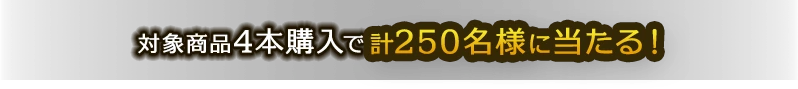 対象商品4本購入でもれなくひとつプレゼント！
