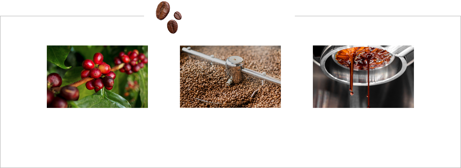 中味のポイント カフェイン含有量の多い品種の豆を使用 浅煎り豆使用で苦みを低減 カフェインを効率よく抽出