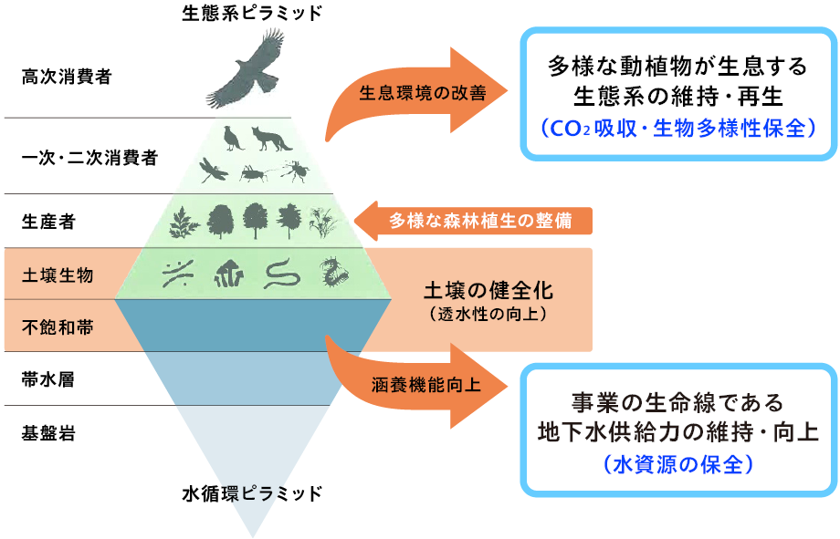生態系ピラミッド・水循環ピラミッド図