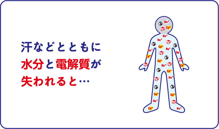 汗などとともに水分と電解質が失われると…