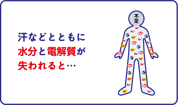 汗などとともに水分と電解質が失われると…