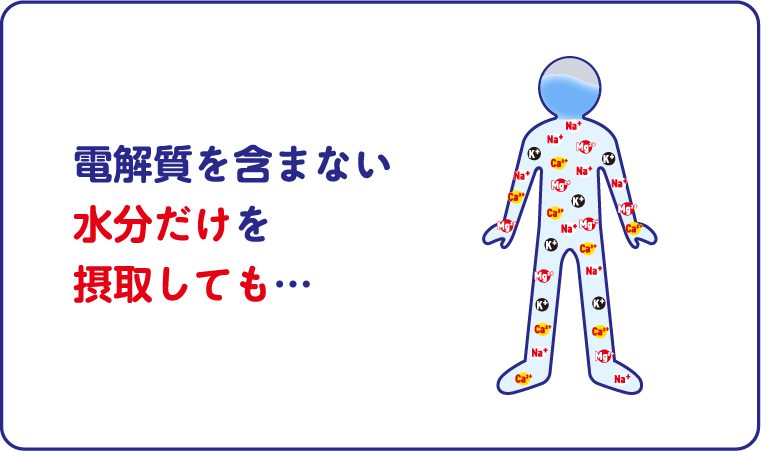 電解質を含まない水分だけを摂取しても…