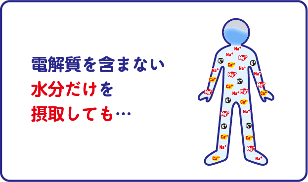 電解質を含まない水分だけを摂取しても…