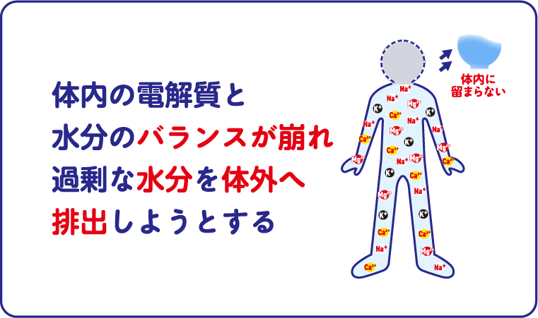 体内の電解質と水分のバランスが崩れ過剰な水分を体外へ排出しようとする