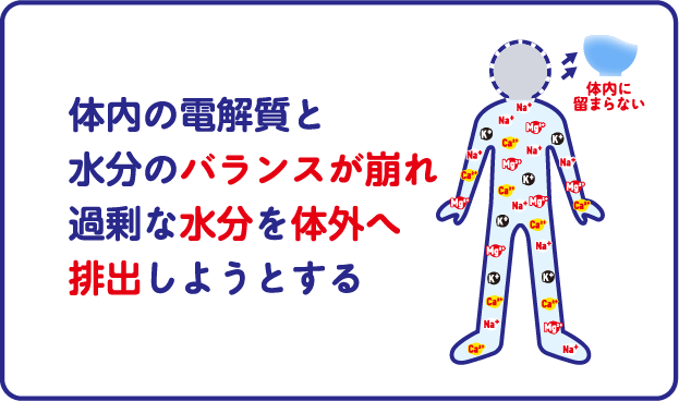 体内の電解質と水分のバランスが崩れ過剰な水分を体外へ排出しようとする