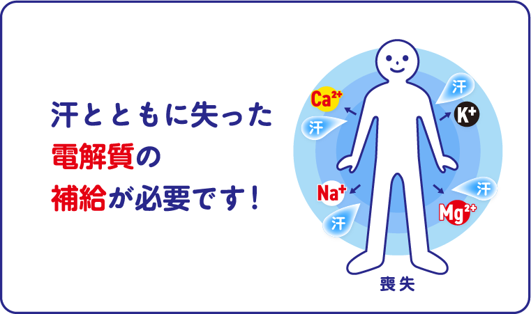 汗とともに失った電解質の補給が必要です！
