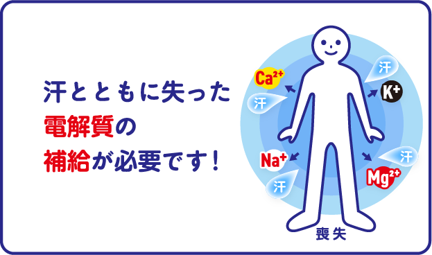 汗とともに失った電解質の補給が必要です！