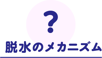 脱水のメカニズム
