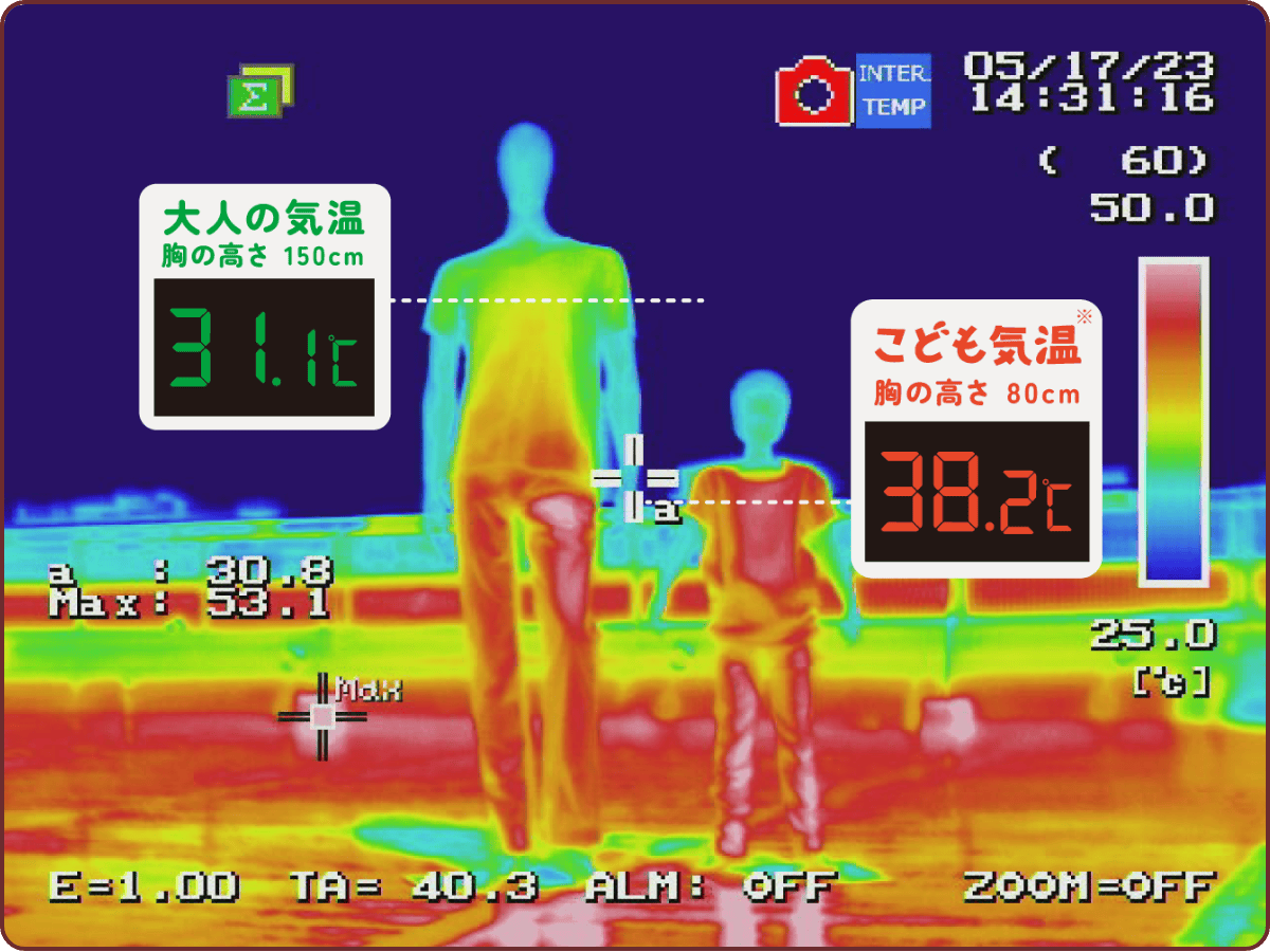 検証結果