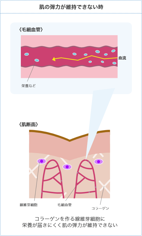 肌の弾力が維持できない時
