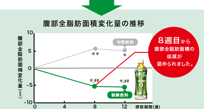 腹部脂肪面積変化量の推移 8週目から脂肪面積の低減が認められました。