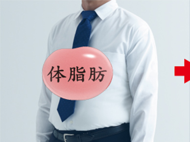 体脂肪の画像
