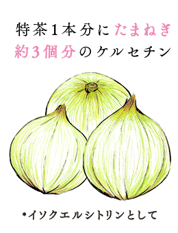 特茶1本分にたまねぎ約3個分のケルセチン