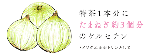 特茶1本分にたまねぎ約3個分のケルセチン