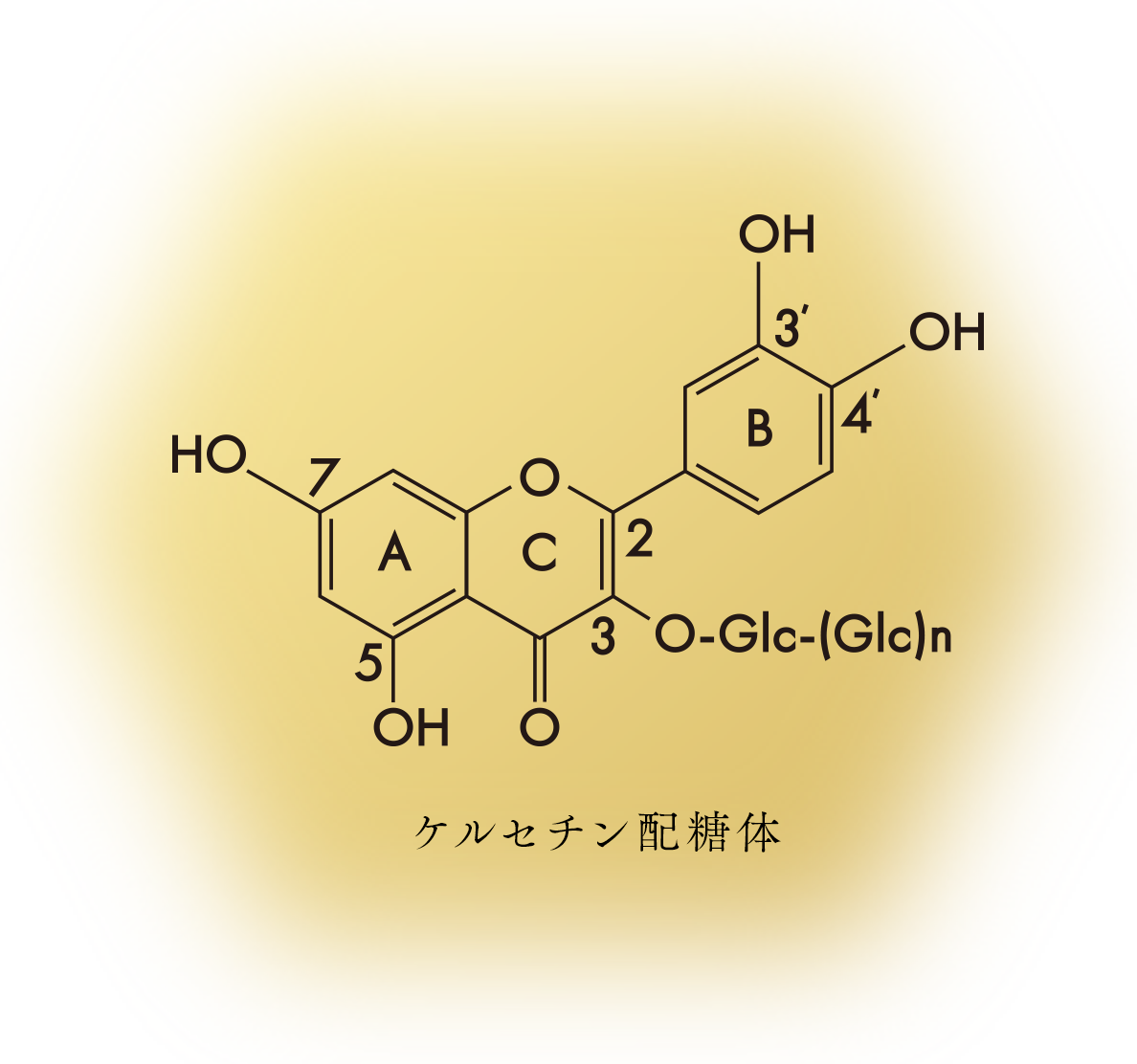 ケルセチン配糖体
