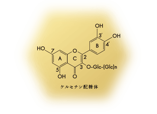ケルセチン配糖体