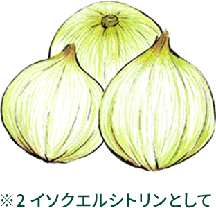 ※2イソクエルシトリンとして