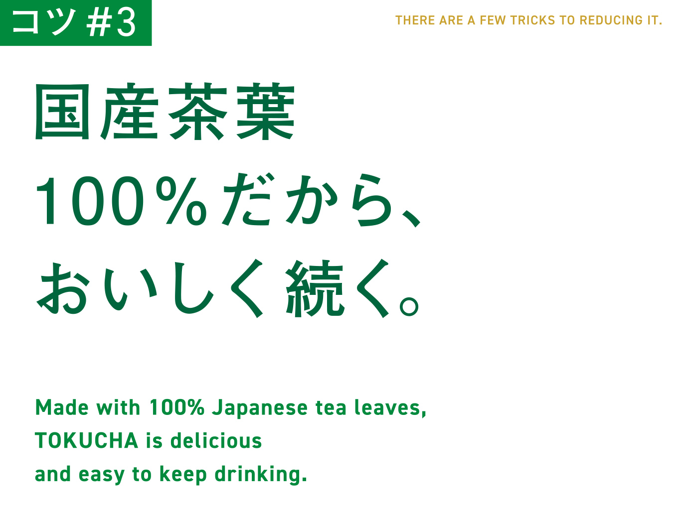 コツ#3　国産茶葉100%だから、おいしく続く。