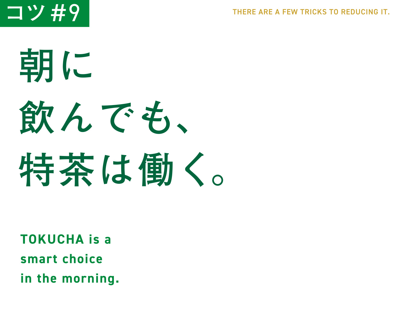 コツ#9　朝に飲んでも、特茶は働く。