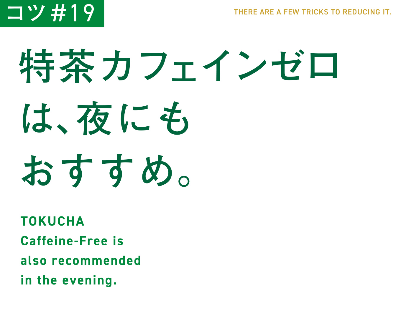 コツ#19　特茶カフェインゼロは、夜にもおすすめ。