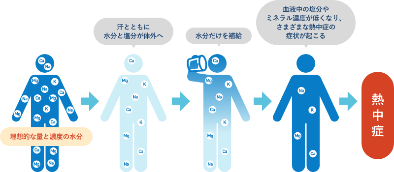 ＜フロー図＞大量に汗をかくと水分とともに塩分も失われ、熱中症につながってしまいます