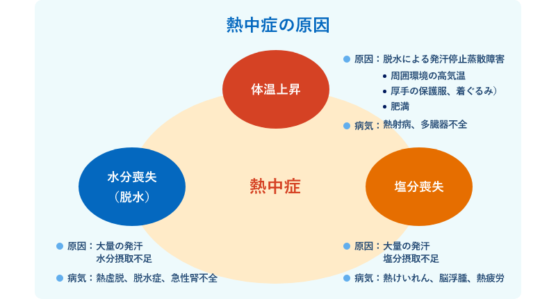 ＜イメージ図＞熱中症の原因（体温上昇、水分喪失、塩分喪失）