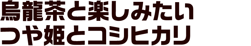 烏龍茶と楽しみたい つや姫とコシヒカリ