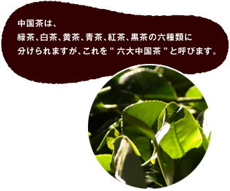 中国茶は、緑茶、白茶、黄茶、青茶、紅茶、黒茶の六種類に分けられますが、これを“六大中国茶”と呼びます。