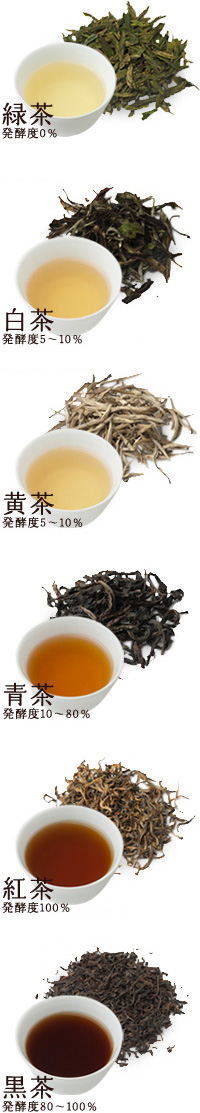 緑茶 発酵度0%、白茶 発酵度5~10%、黄茶 発酵度5~10%、青茶 発酵度10~80%、紅茶 発酵度100%、黒茶 発酵度80~100%
