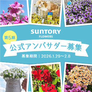 �yInstagram����z�u�T���g���[�t�����[�Y�v�����A���o�T�_�[��W�L�����y�[��