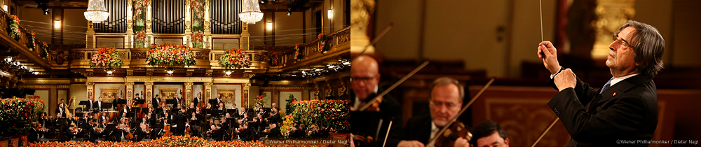 ⓒWiener Philharmoniker / Dieter Nagl