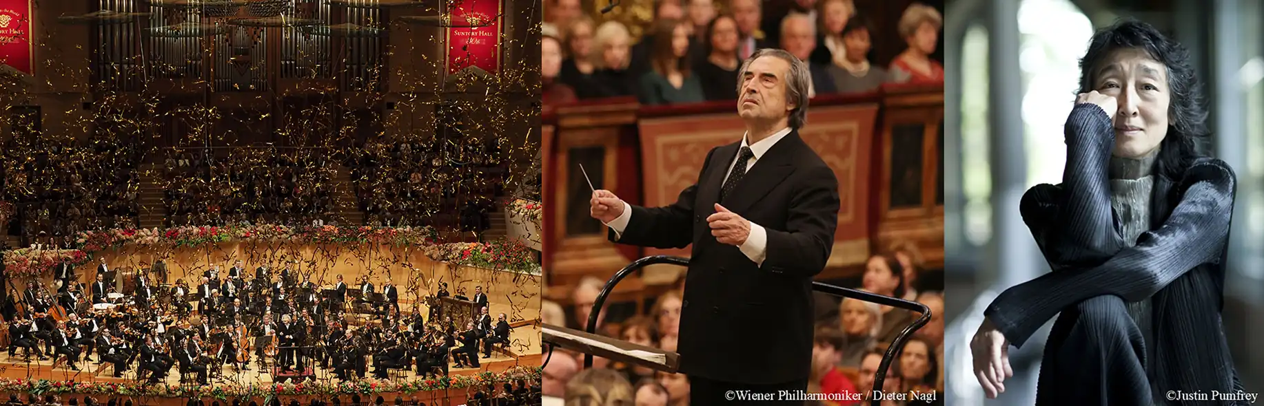 ガラコンサートイメージ